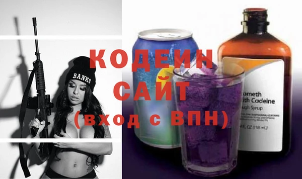 ешки Бородино