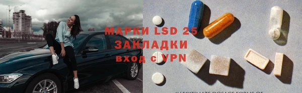 ешки Бородино