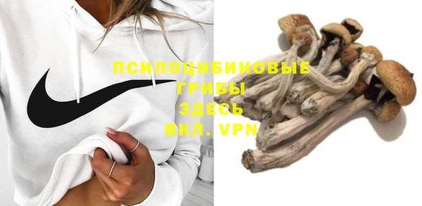 ешки Бородино