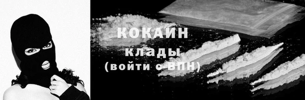 ешки Бородино