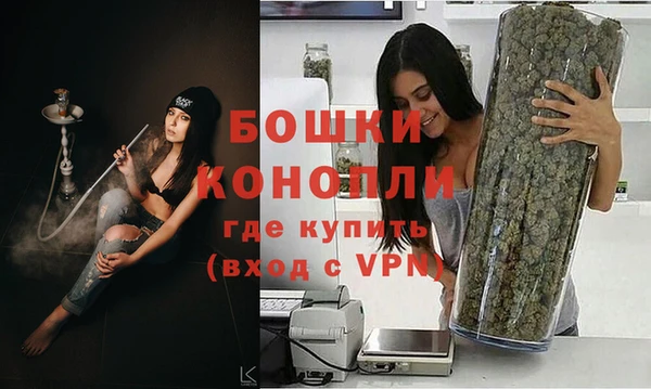 ешки Бородино