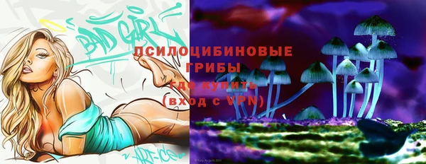 не бодяженный Верхний Тагил
